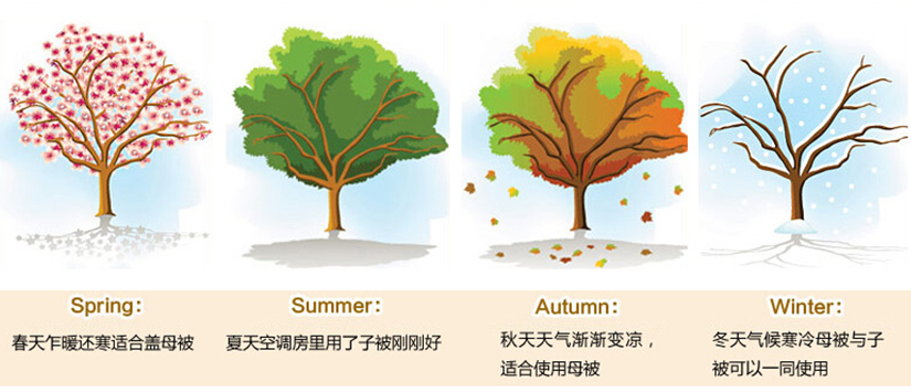 100%蠶絲填充，讓您四季享受云端輕柔